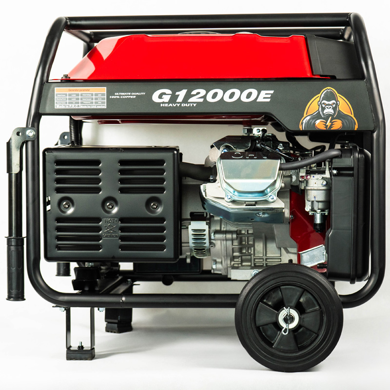 موتور برق بنزینی - G12000E