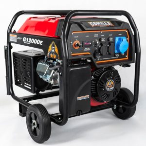 موتور برق بنزینی - G12000E