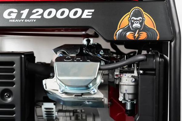ویژگی‌های کلیدی موتور برق بنزینی G12000E